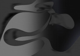 SNARE, DIGITAL MEDIA VERSION, DANNY FARIA 