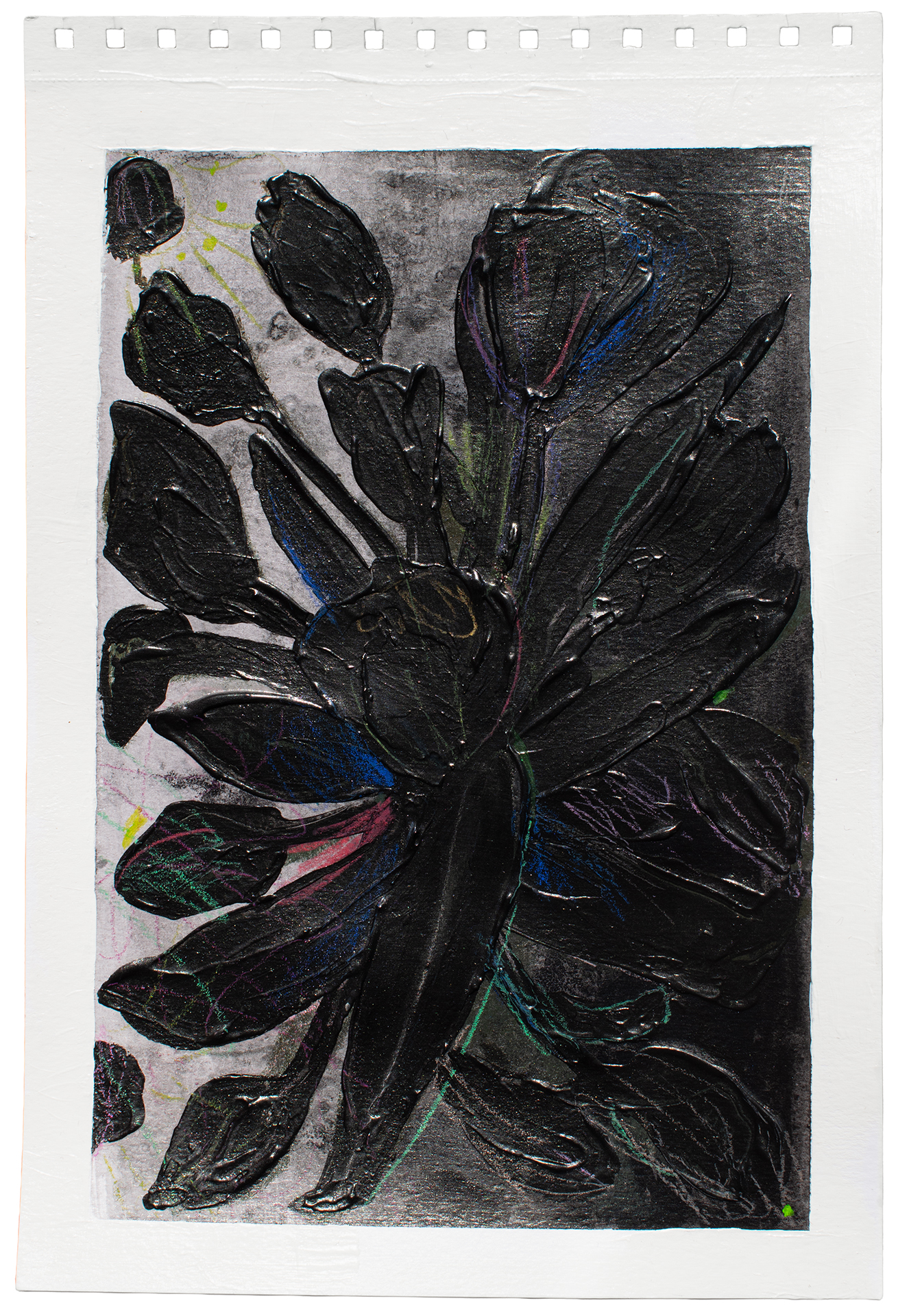 ORGANIC MATTER DANNYFARIA 1 
