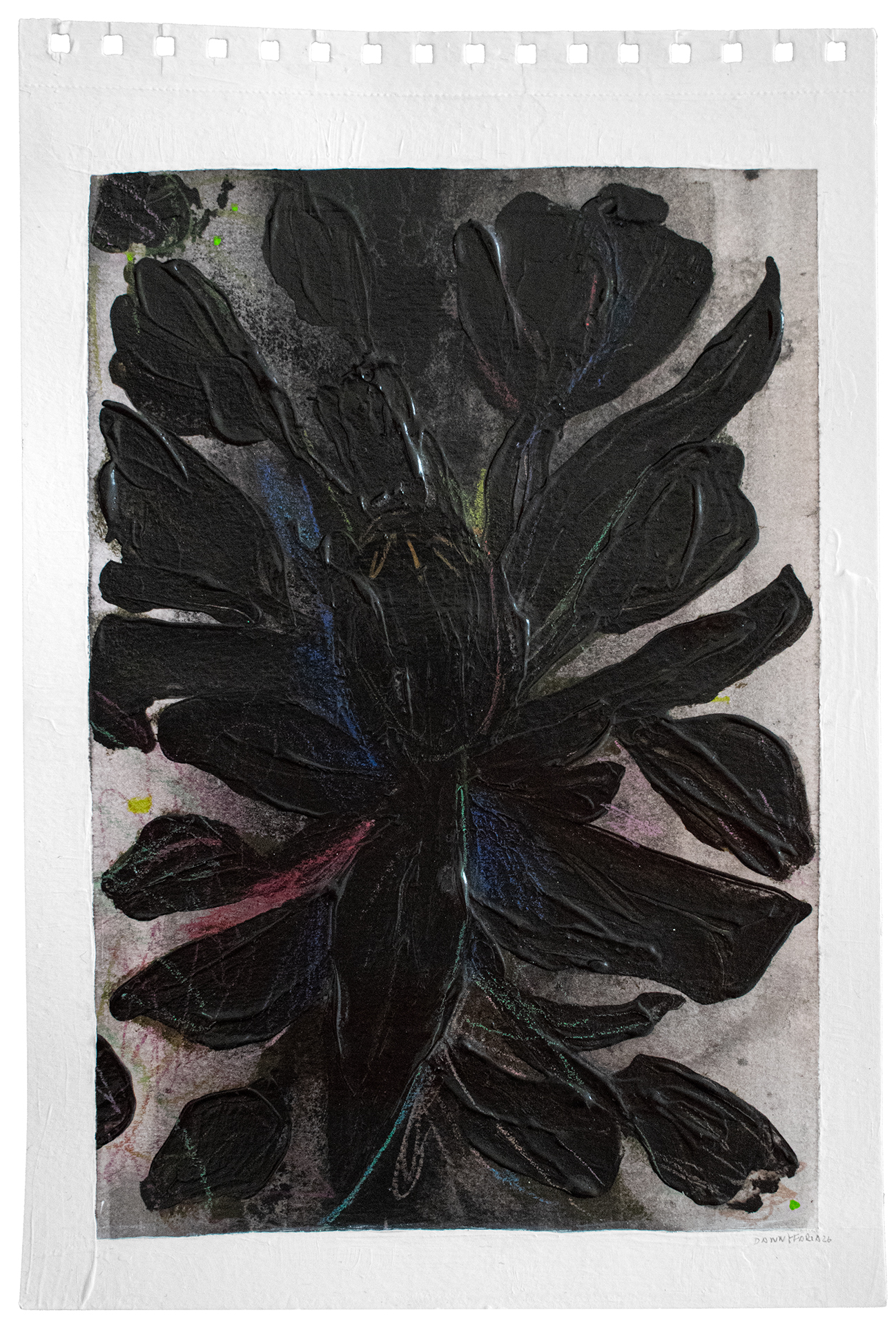 ORGANIC MATTER DANNYFARIA 2 