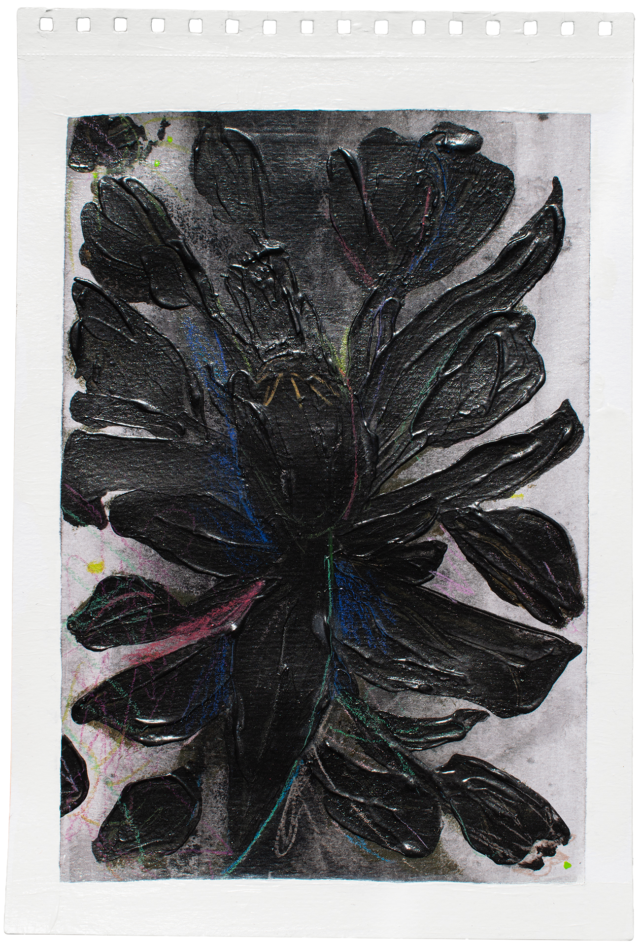 ORGANIC MATTER DANNYFARIA 2 