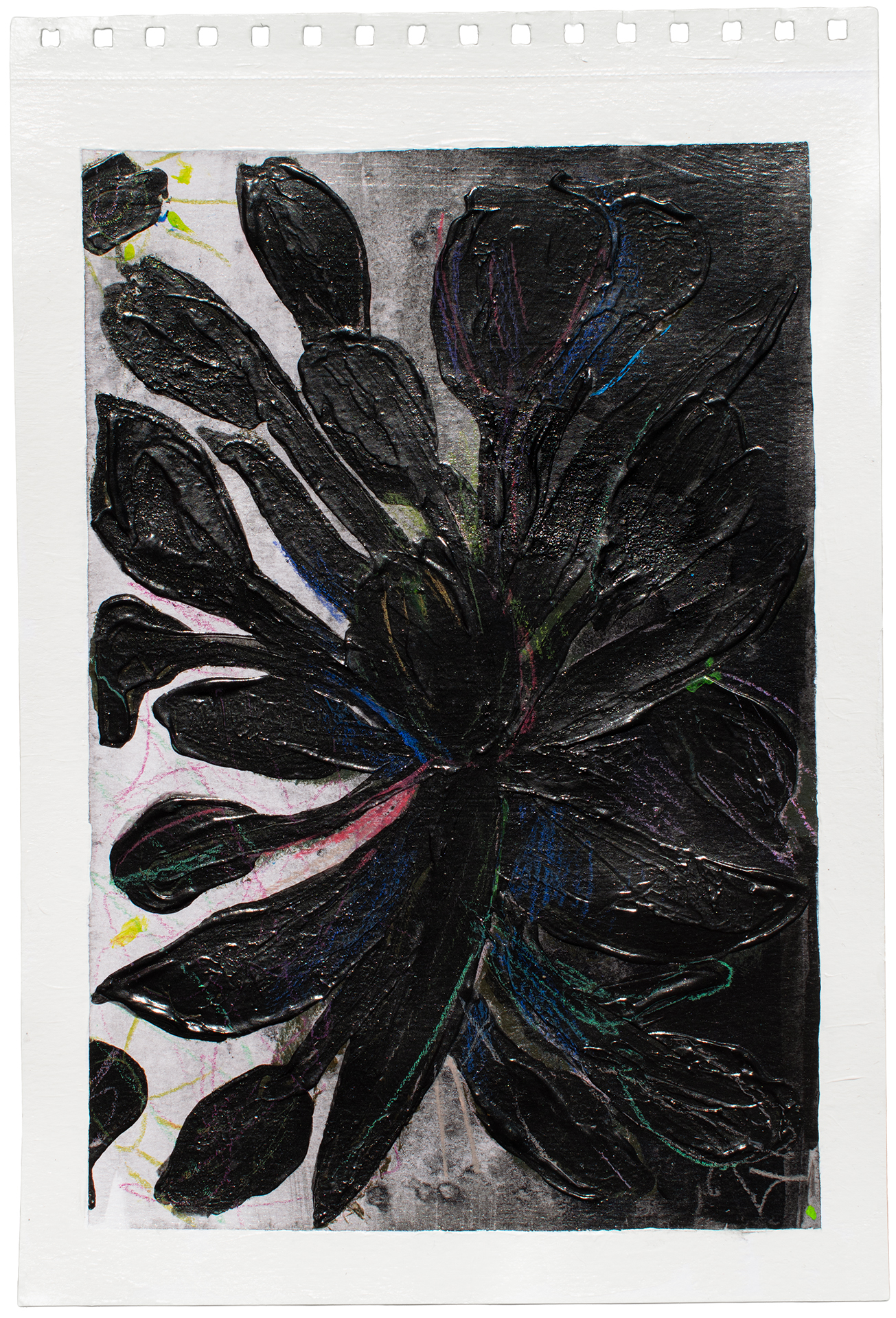 ORGANIC MATTER DANNYFARIA 3 