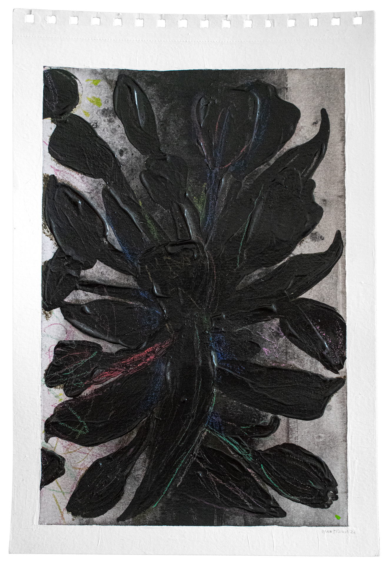ORGANIC MATTER DANNYFARIA 4 
