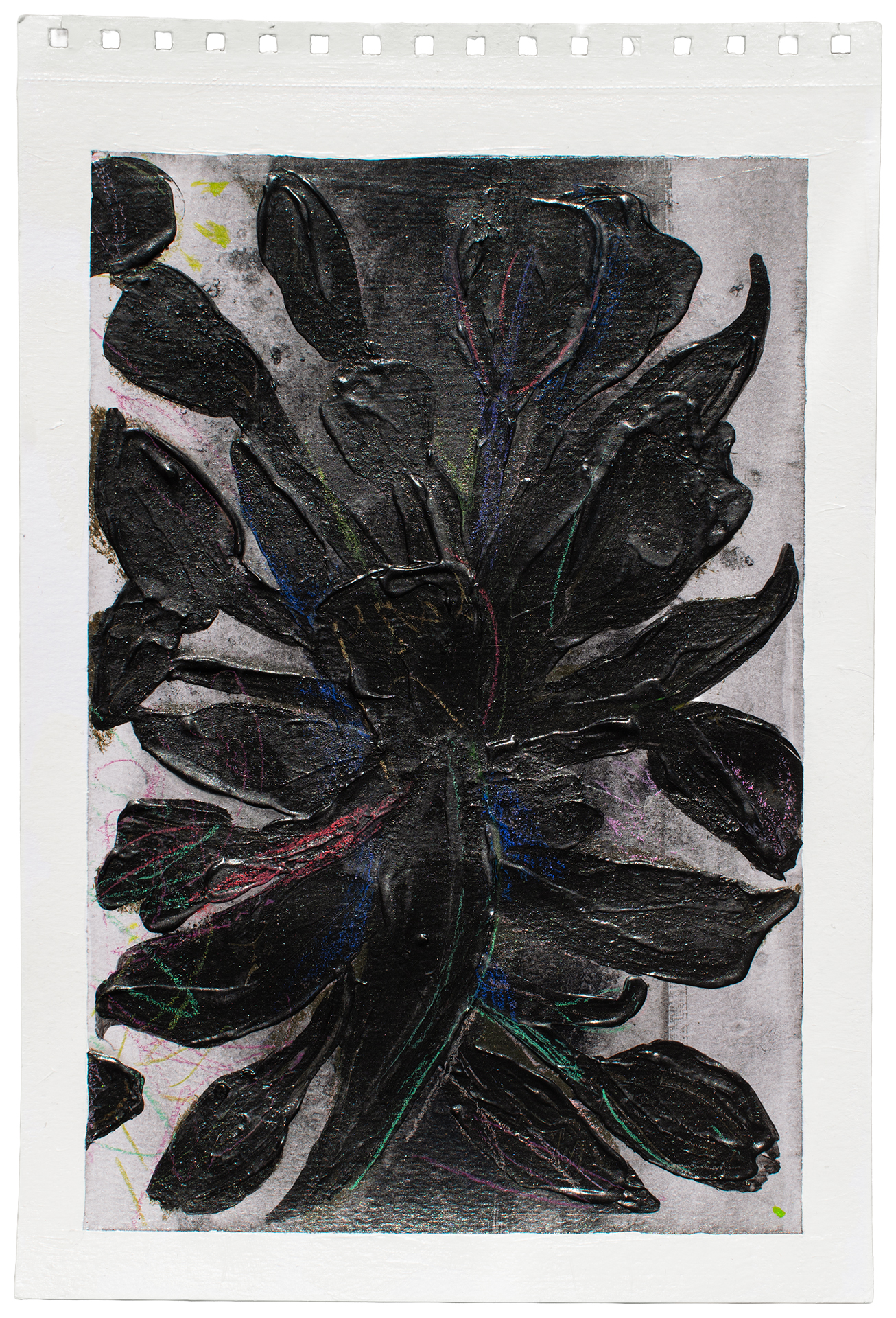ORGANIC MATTER DANNYFARIA 4 