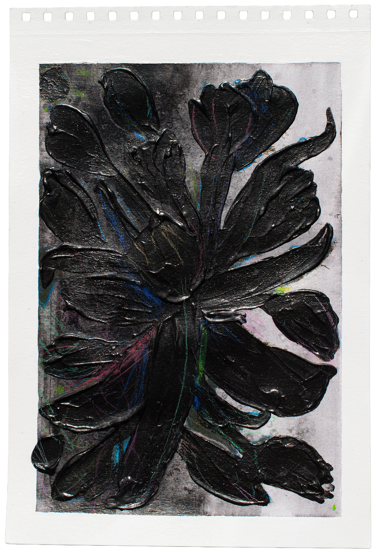 ORGANIC MATTER DANNYFARIA 5 